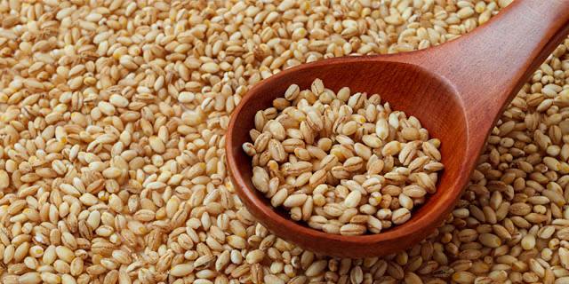 Korzyści płynące ze spożywania kaszy jęczmiennej